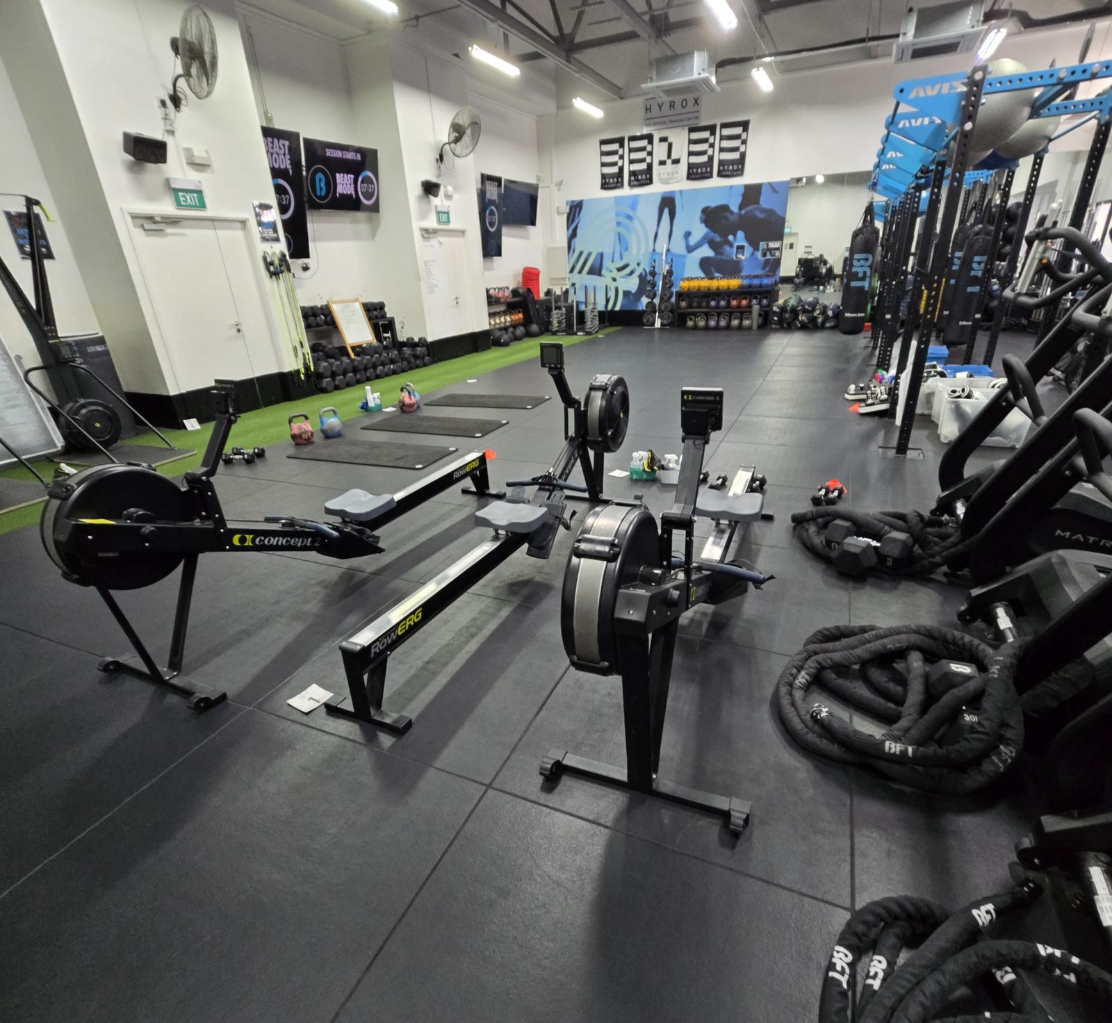 Rowing machines lined up on the gym floor