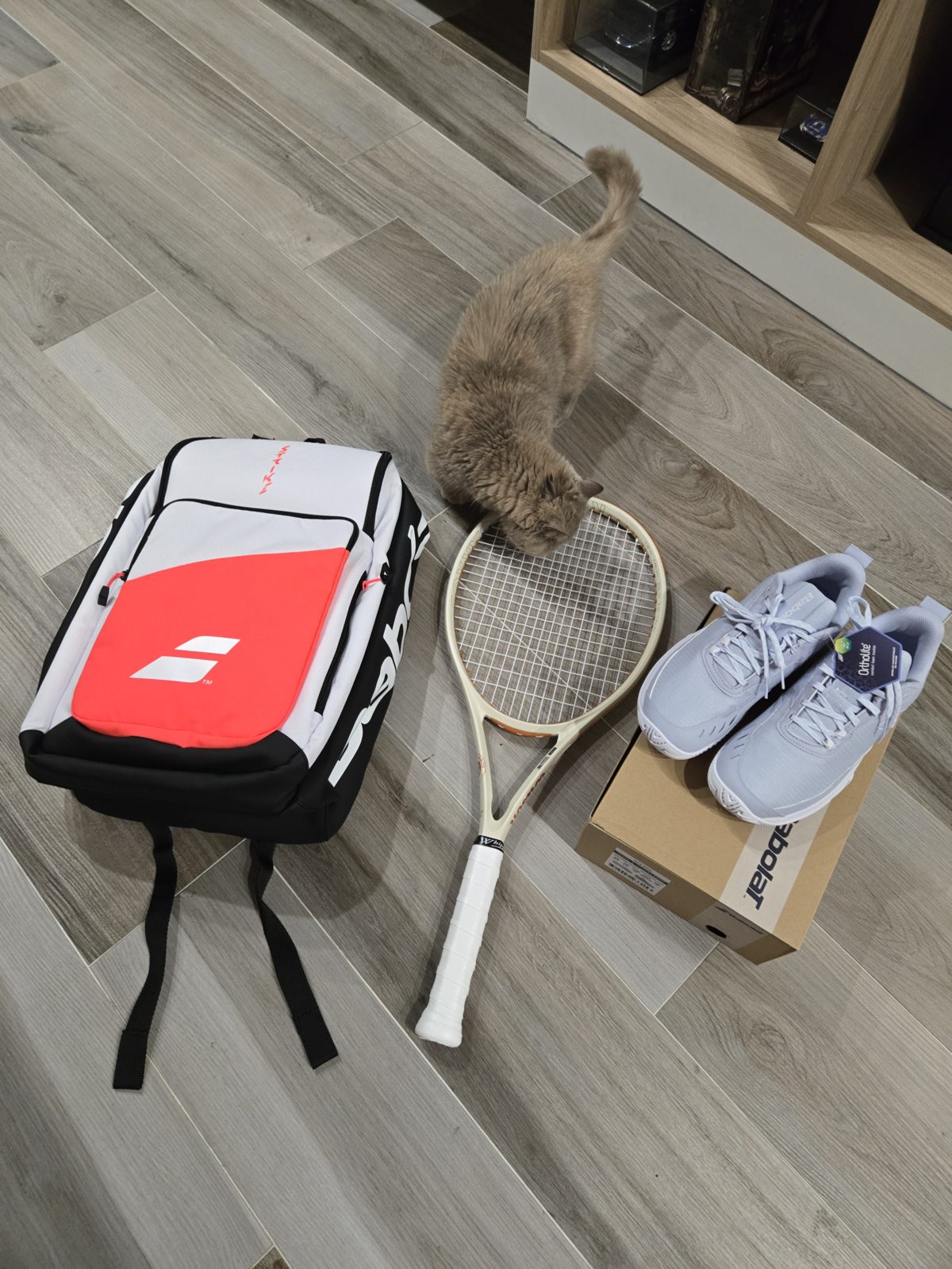 A tennis racket, a tennis backpack and new court shoes on the floor, with a cat sniffing the racket